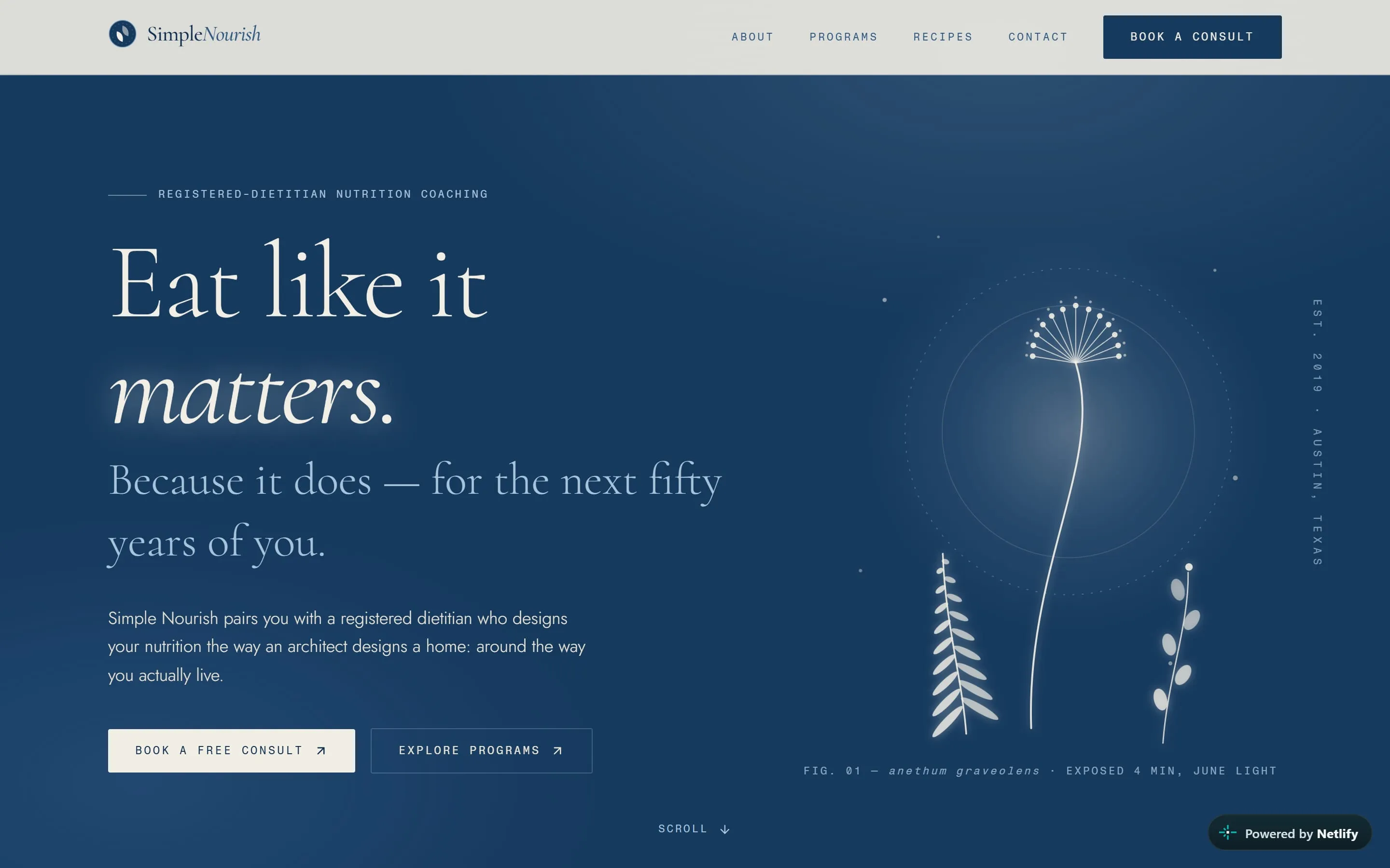 The Simple Nourish homepage shown on desktop and mobile, featuring a cyanotype aesthetic with deep Prussian-blue panels, pale leaf motifs, and recipe cards.